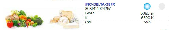 Faretto ad incasso LED DELTA bianco estraibile per generi alimentari 30W 6500K CRI>93 19 5X23CM INC-DELTA-38FR