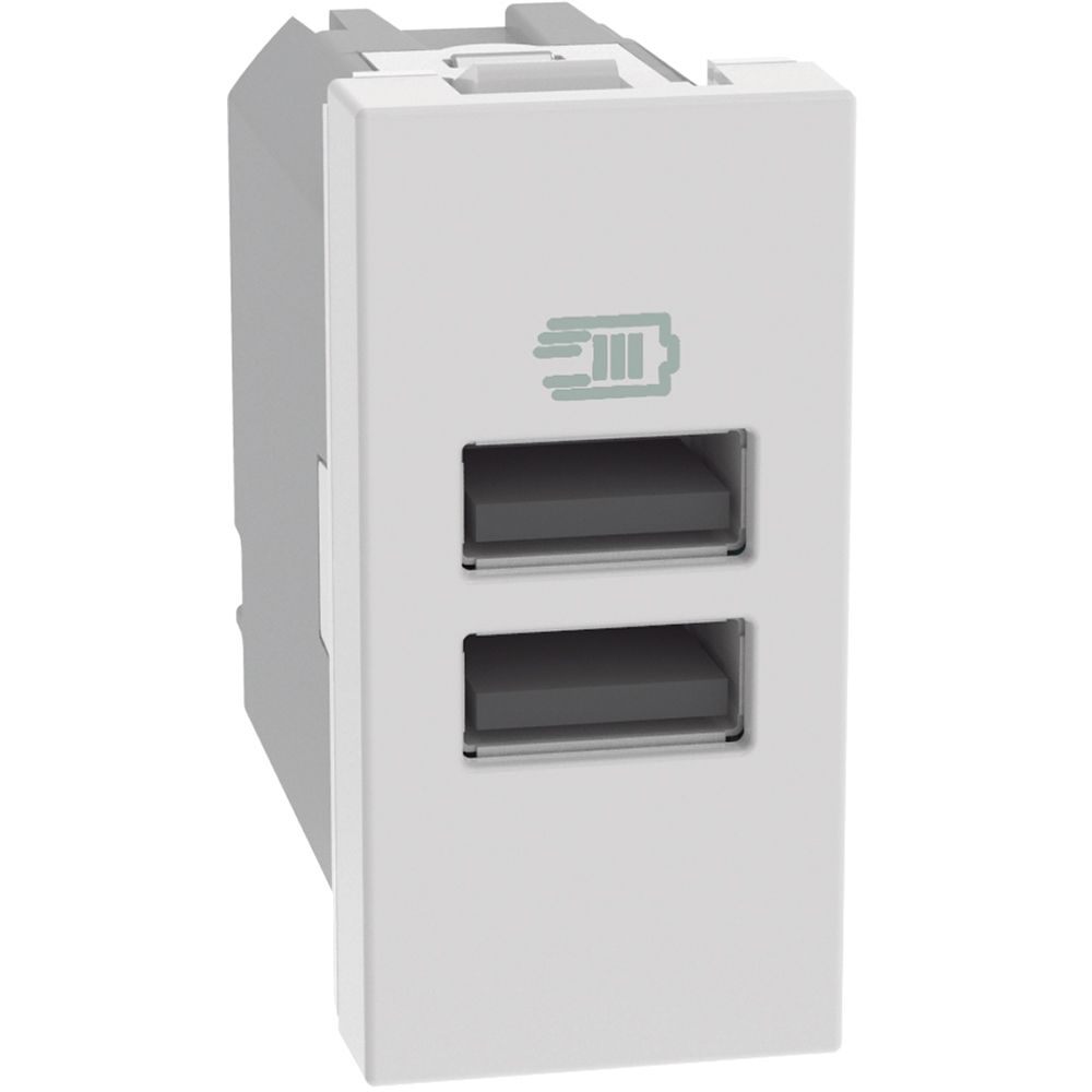 BTICINO MatixGO Caricatore USB Bianco con due porte tipo A - 15W JW4191AA